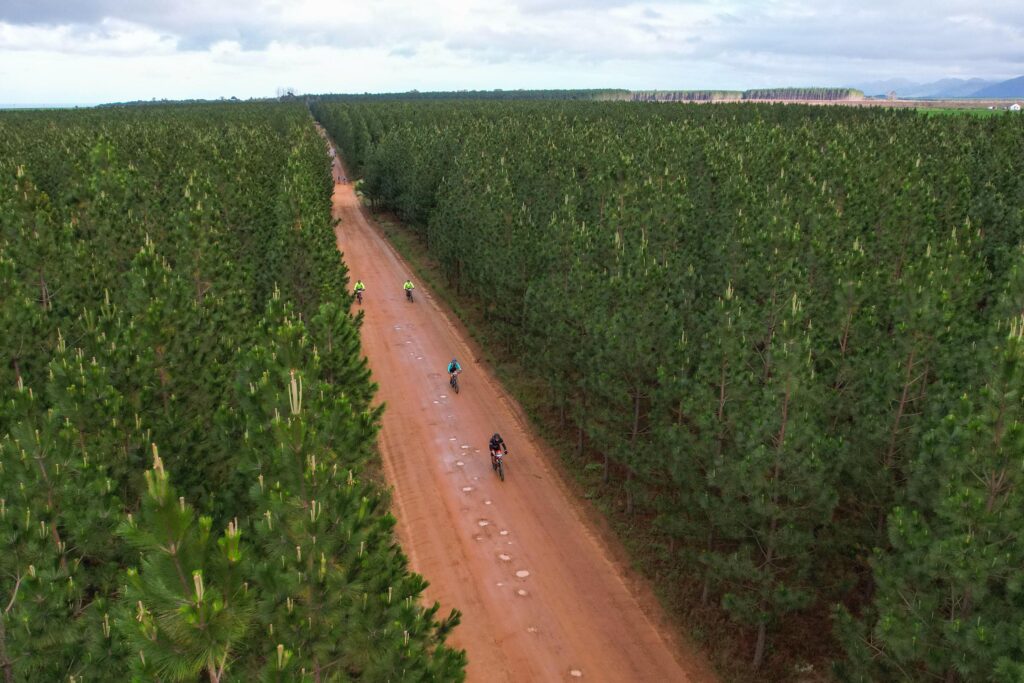MTO Forestry